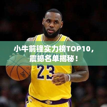 小牛前锋实力榜TOP10，震撼名单揭秘！