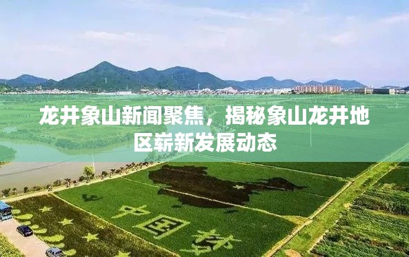 龙井象山新闻聚焦，揭秘象山龙井地区崭新发展动态