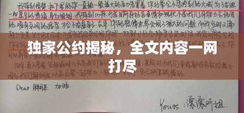 独家公约揭秘，全文内容一网打尽