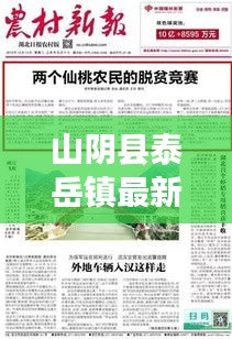 山阴县泰岳镇最新热点新闻头条速递