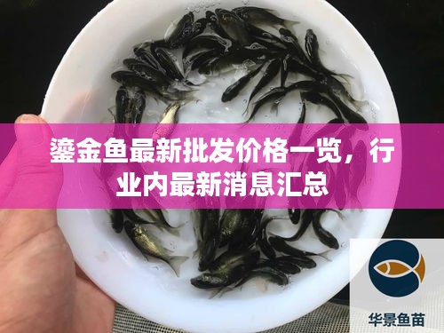 鎏金鱼最新批发价格一览，行业内最新消息汇总