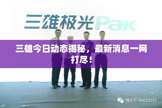 三雄今日动态揭秘，最新消息一网打尽！