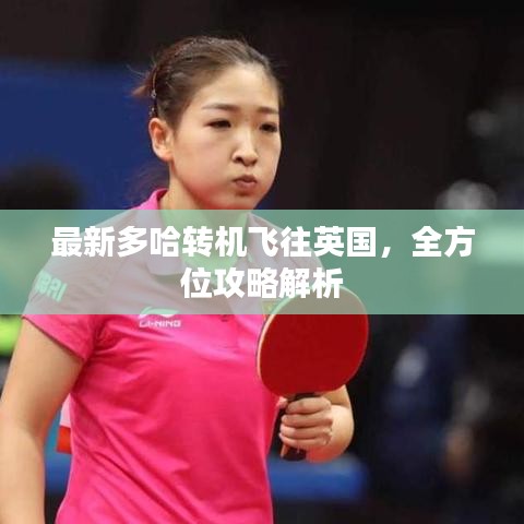 见仁见智