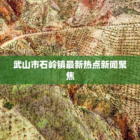 武山市石岭镇最新热点新闻聚焦