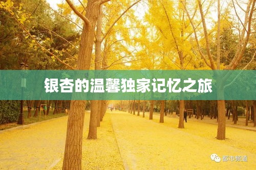 布被瓦器