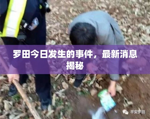 罗田今日发生的事件，最新消息揭秘