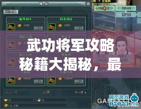 武功将军攻略秘籍大揭秘，最新策略与技巧全解析