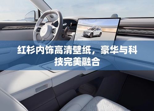 关于我们 第11页