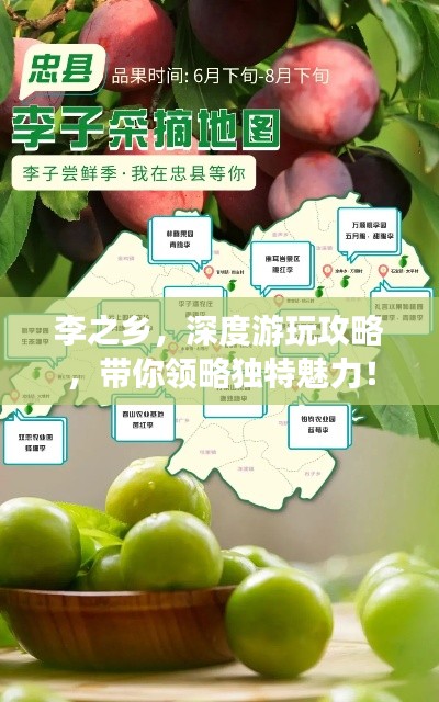 李之乡，深度游玩攻略，带你领略独特魅力！