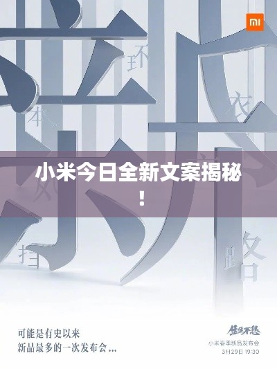 小米今日全新文案揭秘！