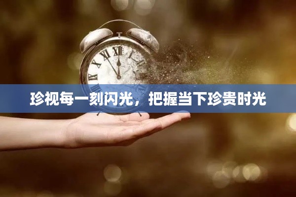 珍视每一刻闪光，把握当下珍贵时光