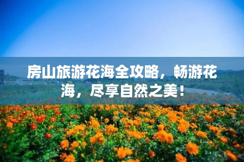 房山旅游花海全攻略，畅游花海，尽享自然之美！