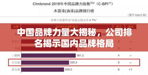 中国品牌力量大揭秘，公司排名揭示国内品牌格局