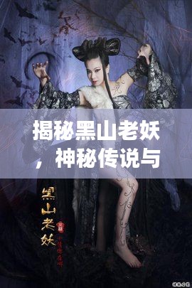 手不释卷