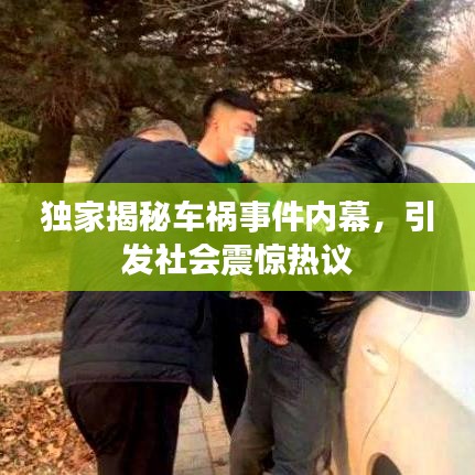 独家揭秘车祸事件内幕，引发社会震惊热议
