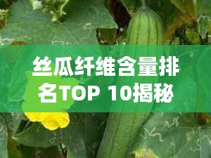 丝瓜纤维含量排名TOP 10揭秘