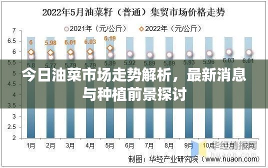 博古通今