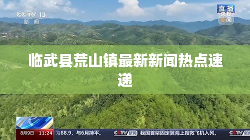 销声匿迹