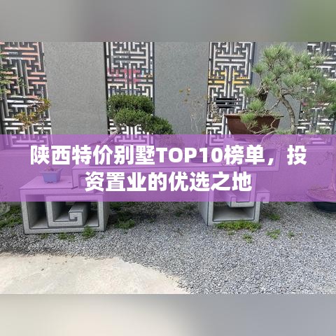 神采飞扬