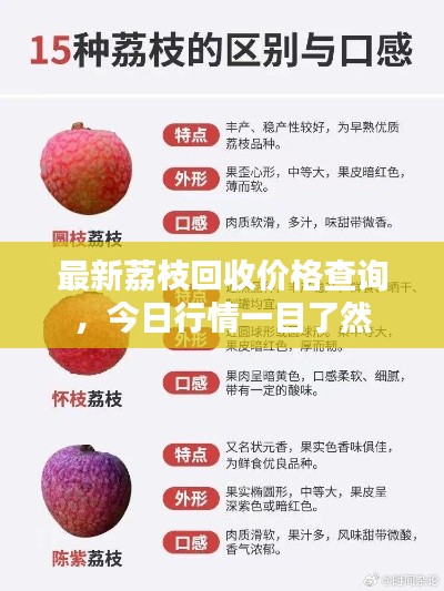 最新荔枝回收价格查询，今日行情一目了然