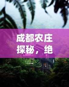 飞墙走壁