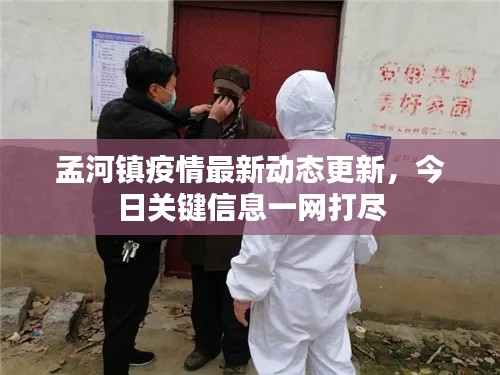 孟河镇疫情最新动态更新，今日关键信息一网打尽