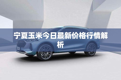 宁夏玉米今日最新价格行情解析