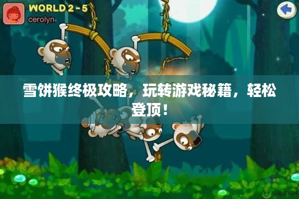 雪饼猴终极攻略，玩转游戏秘籍，轻松登顶！