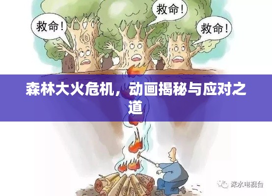 衣不完采