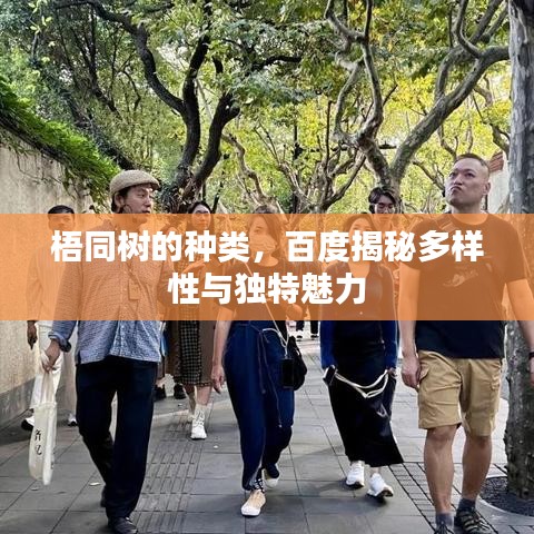 梧同树的种类，百度揭秘多样性与独特魅力