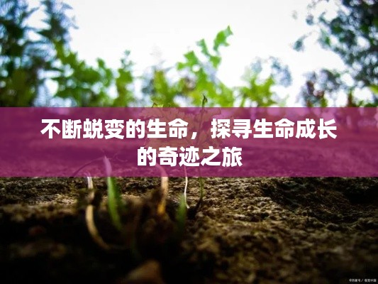 令行禁止