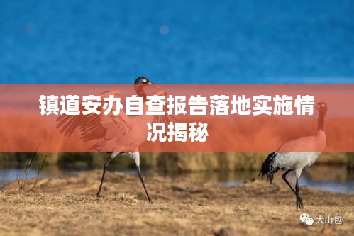 镇道安办自查报告落地实施情况揭秘