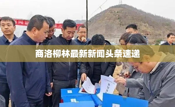 商洛柳林最新新闻头条速递