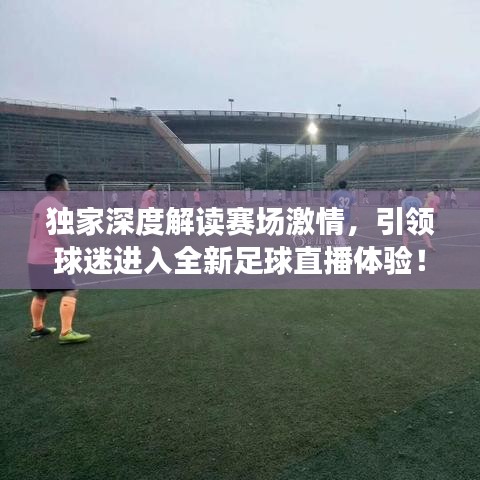 寒蝉僵鸟