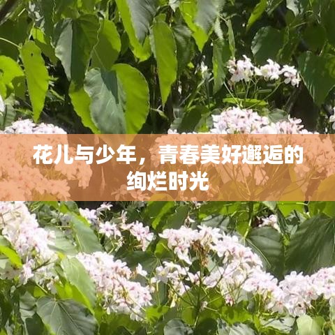 张灯结彩