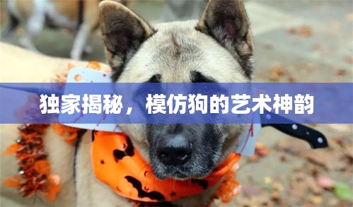 木乾鸟栖