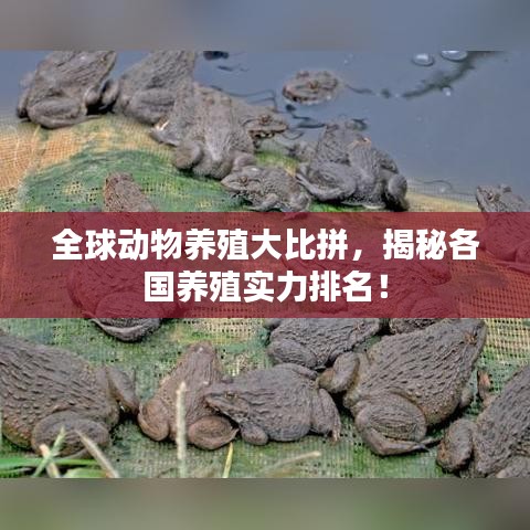心不在焉