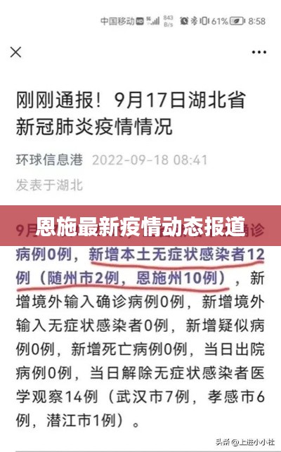 恩施最新疫情动态报道