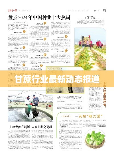 秀外慧中