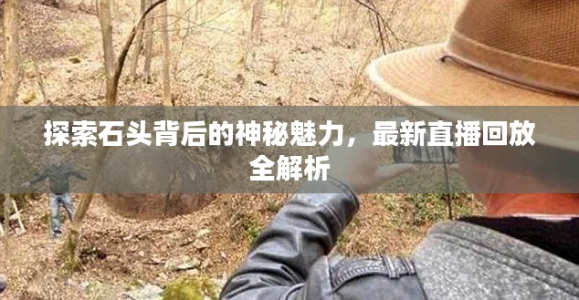 探索石头背后的神秘魅力，最新直播回放全解析
