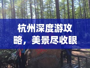 杭州深度游攻略，美景尽收眼底