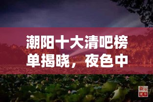 潮阳十大清吧榜单揭晓，夜色中的休闲天堂，你Pick哪个？