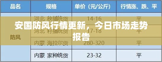 安国防风行情更新，今日市场走势报告