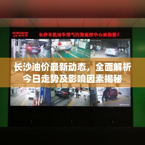 长沙油价最新动态，全面解析今日走势及影响因素揭秘