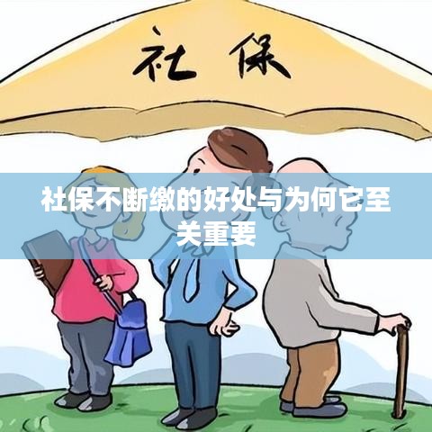 社保不断缴的好处与为何它至关重要