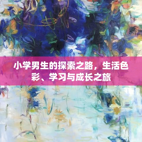 小学男生的探索之路，生活色彩、学习与成长之旅