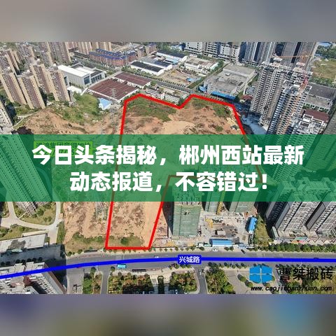 今日头条揭秘，郴州西站最新动态报道，不容错过！
