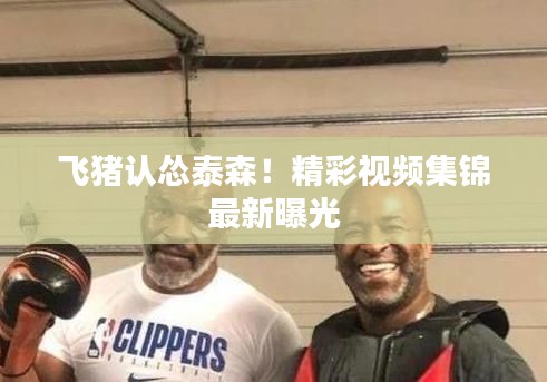 飞猪认怂泰森！精彩视频集锦最新曝光