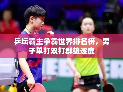 乒坛霸主争霸世界排名榜，男子单打双打群雄逐鹿