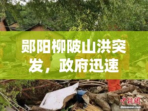 杳无音信